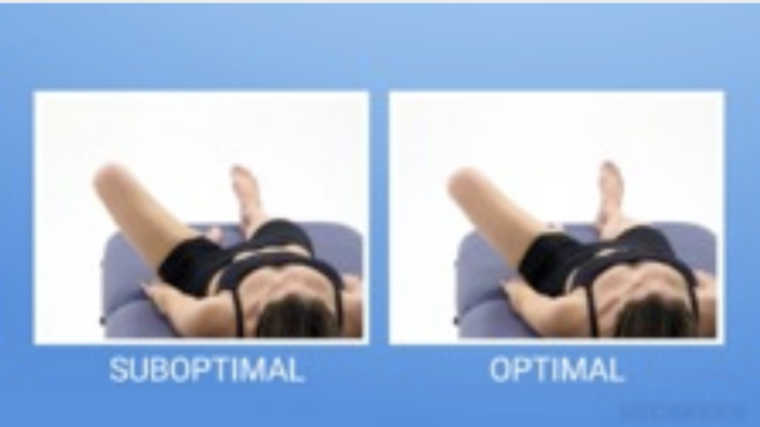 Assessment And Treatment Of Low Back Pain - The Athlete Movement System